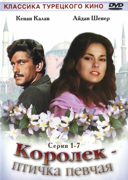<h1>Королёк – птичка певчая</h1>