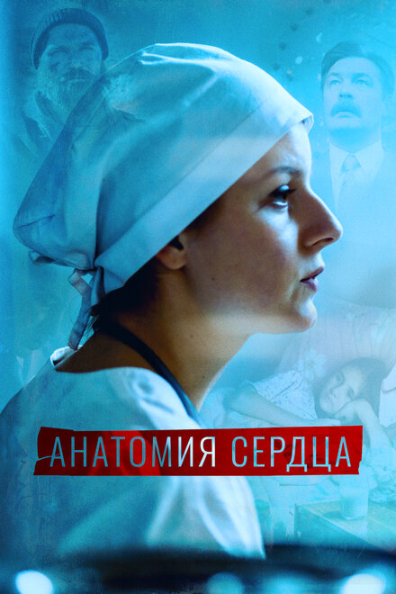 <h1>Анатомия сердца</h1>