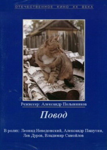 <h1>Повод</h1>