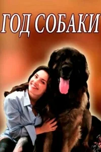 <h1>Год собаки</h1>
