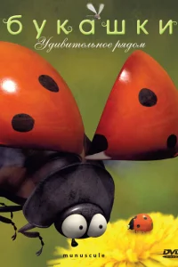 <h1>Букашки</h1>