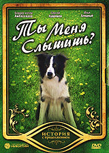 <h1>Ты меня слышишь?</h1>
