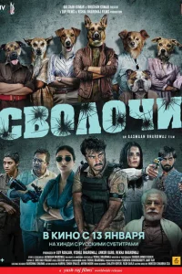 <h1>Сволочи</h1>