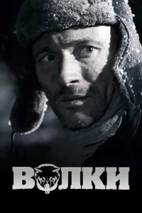 <h1>Волки</h1>