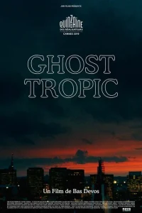 <h1>Призрачные тропики</h1>