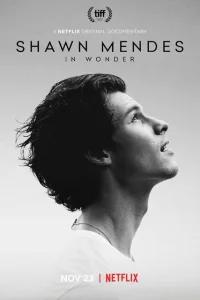 <h1>Шон Мендес: In Wonder</h1>