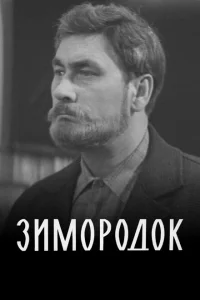 <h1>Зимородок</h1>