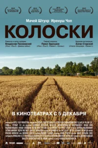 <h1>Колоски</h1>
