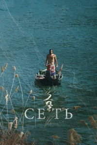 <h1>Сеть</h1>