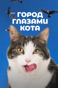 <h1>Город глазами кота</h1>