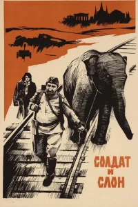 <h1>Солдат и слон</h1>