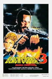 <h1>Черная кобра 3: Манильский связной</h1>