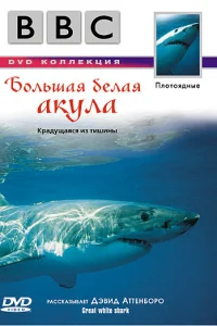 <h1>BBC: Большая белая акула</h1>