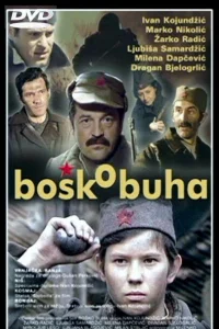 <h1>Бошко Буха</h1>
