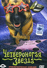 <h1>Четвероногая звезда</h1>