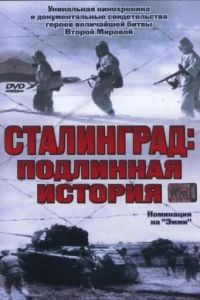 <h1>Сталинград: Подлинная история</h1>