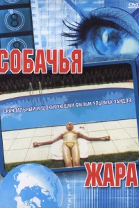 <h1>Собачья жара</h1>