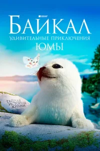 <h1>Байкал. Удивительные приключения Юмы</h1>