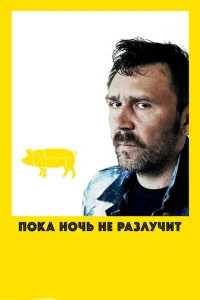 <h1>Пока ночь не разлучит</h1>